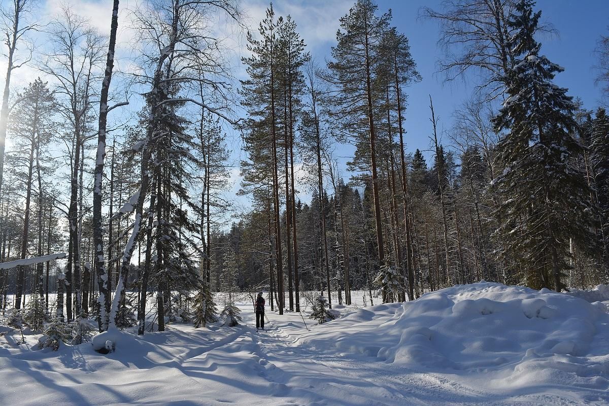 Лыжный тур "2 дня в Приладожье"