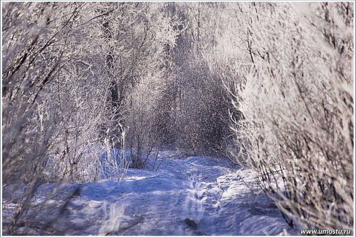 Снегоходный тур "Великие озера: от Онеги до Ладоги"