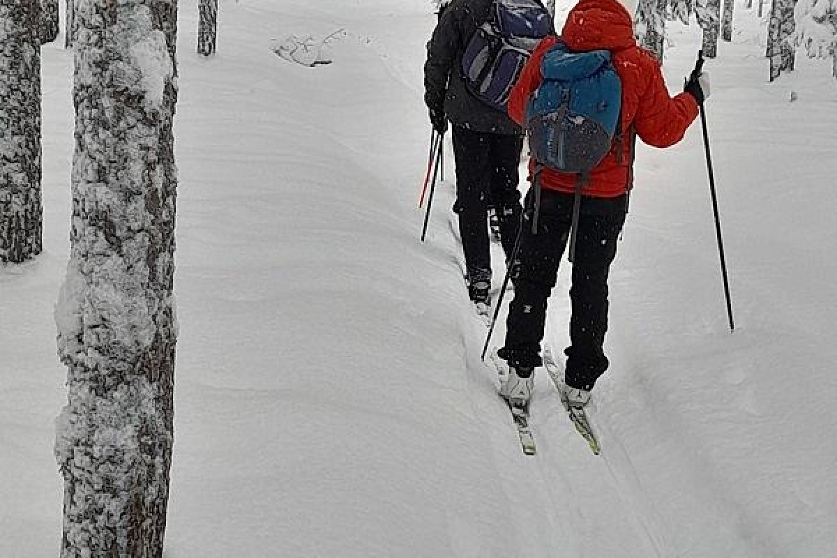 Лыжный тур "2 дня в Приладожье"