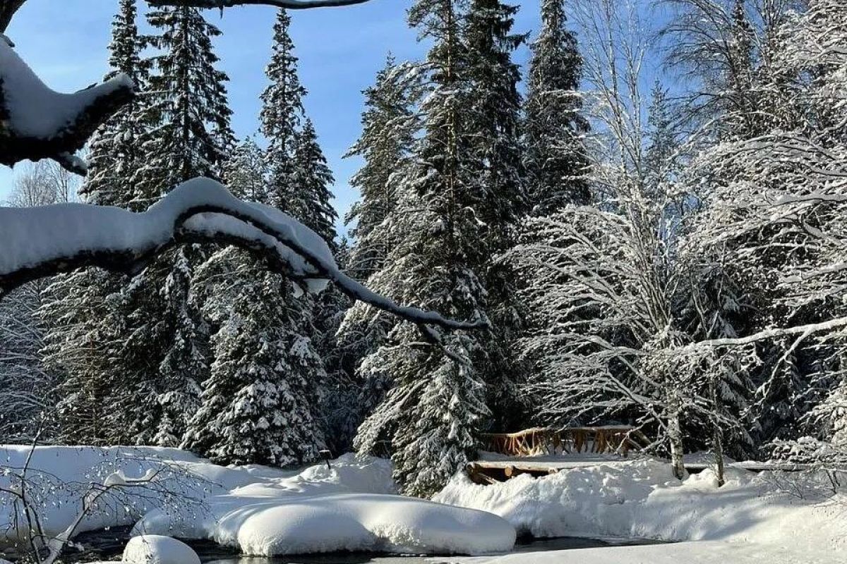 Новогодние каникулы в Карелии + Кижи через Заонежье. 5 дней.