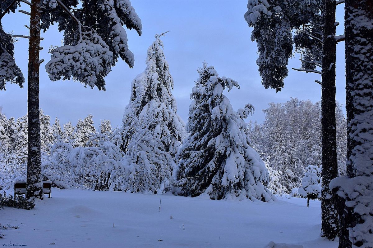 Лыжный тур "3 дня в Тало (Сойважпорог)"