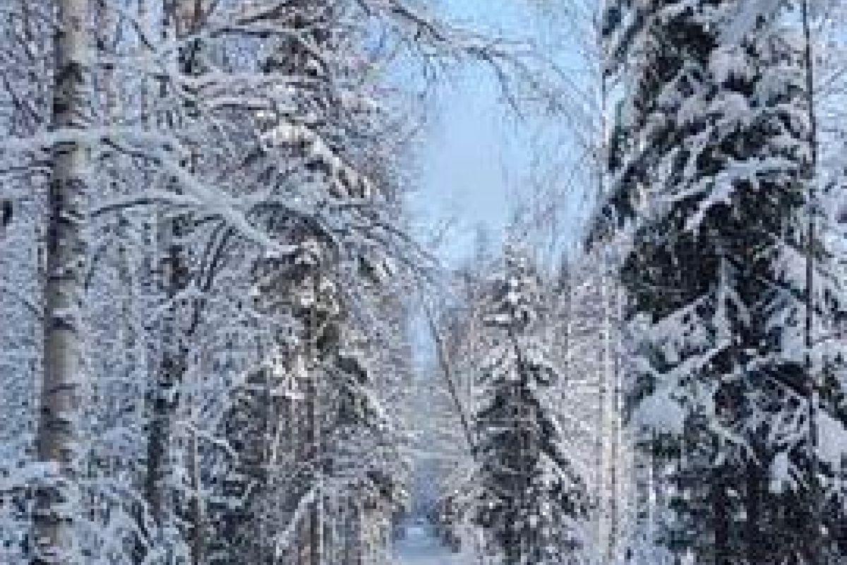 По озерам Карелии на снегоходах. 6 часов.