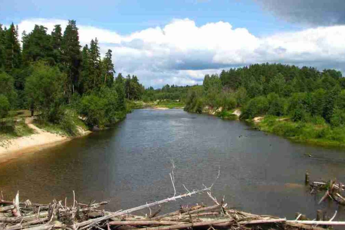 Керженский заповедник