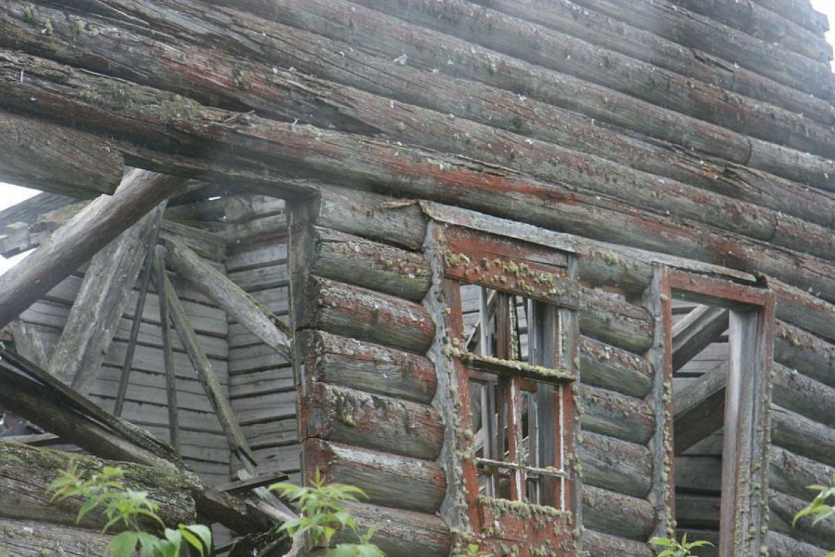 Дорогами Карелии. Тур на квадроциклах по карельской тайге 2025