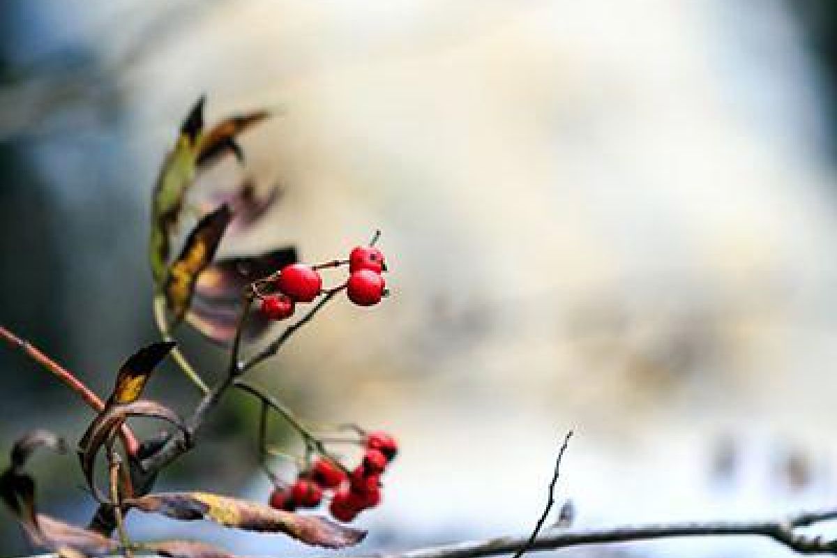 Джип-тур в Горный парк Рускеала + водопады Приладожья 2025