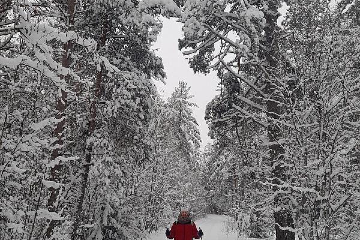 Лыжный тур "3 дня в Приладожье"